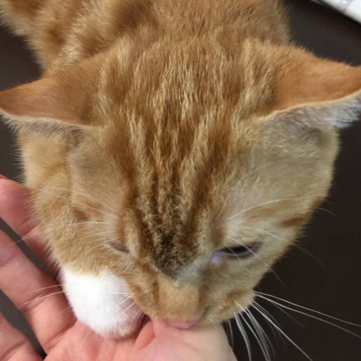 De811232 2a11 41d7 a68a ae42389e3180