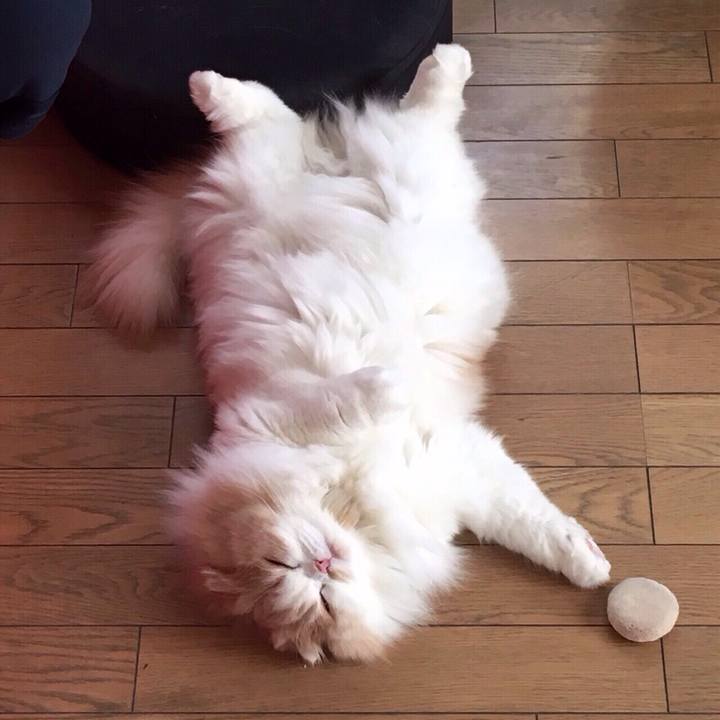 De81283a c92b 4823 aa87 86f85542a374