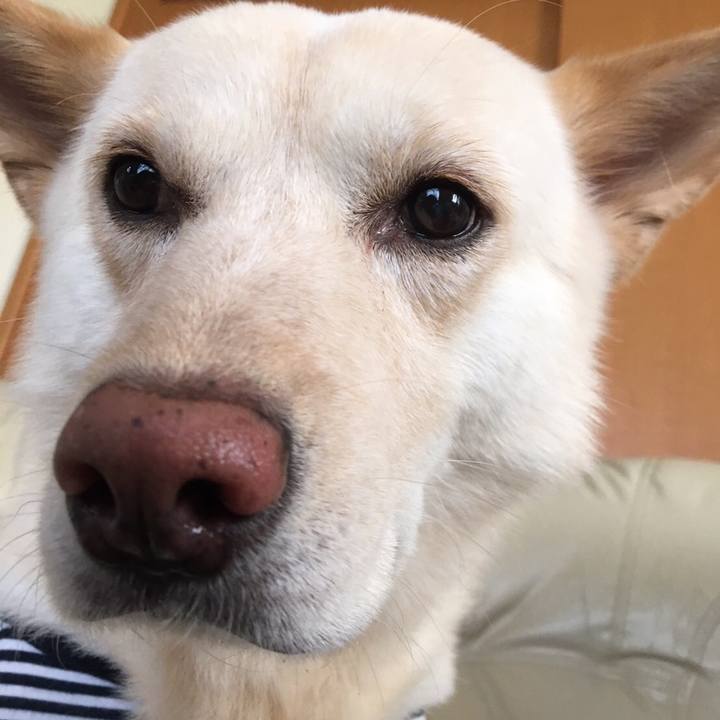 De8168da b540 4ae8 be17 79bd8d866bbc