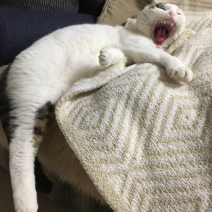 De81c119 2adc 4293 8236 1f1451bb21c1