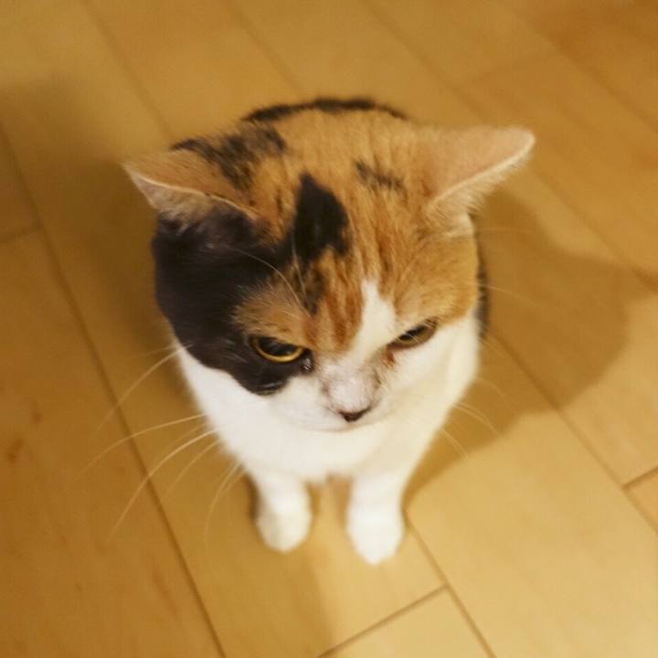 De81cfd9 a6f3 49c7 9e7f 2aacae25494b