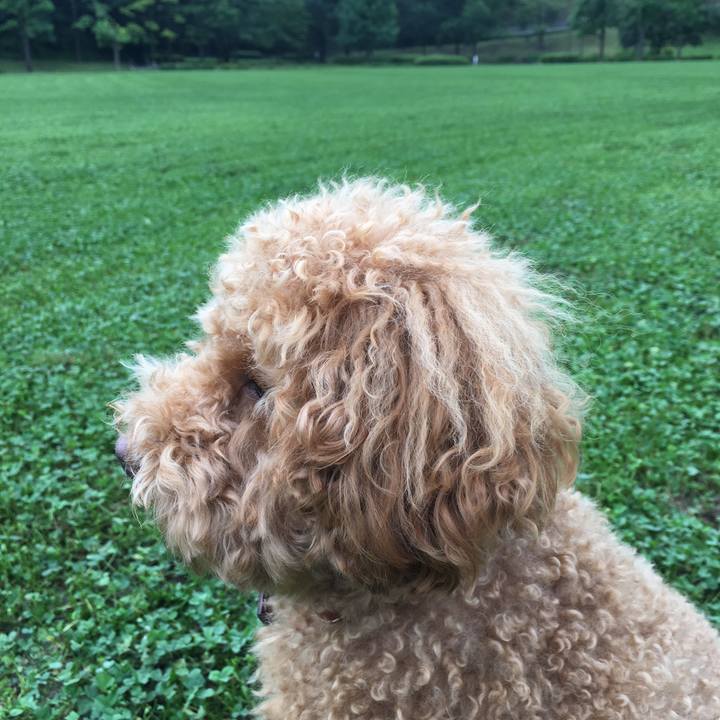 De8244c5 b52c 466b a948 519dcd7b9285