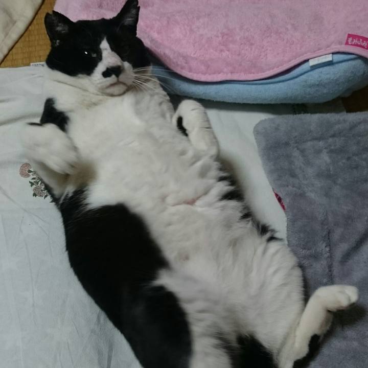 De828a91 82e3 4bfa 85cc 3c2d7b7a42a6