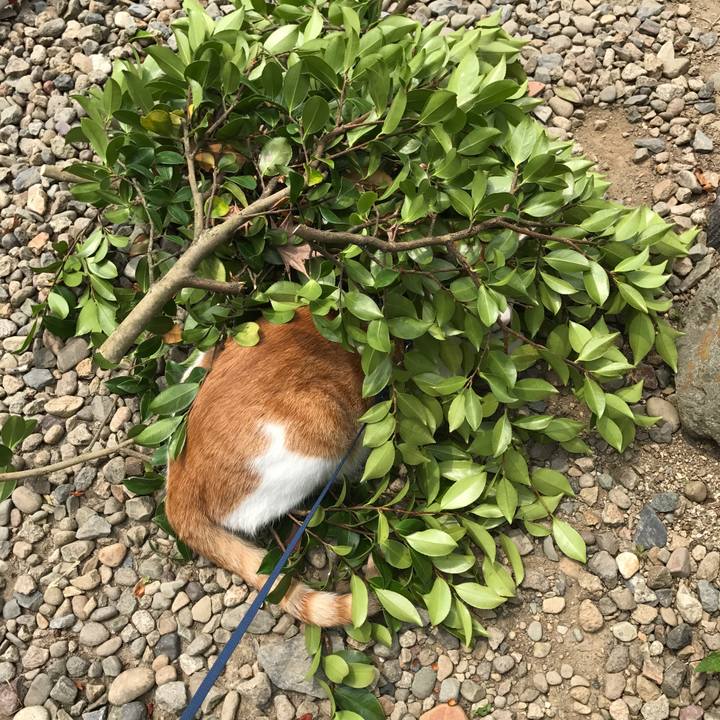 De8293d1 ce8c 43c5 b290 5de4353b3826