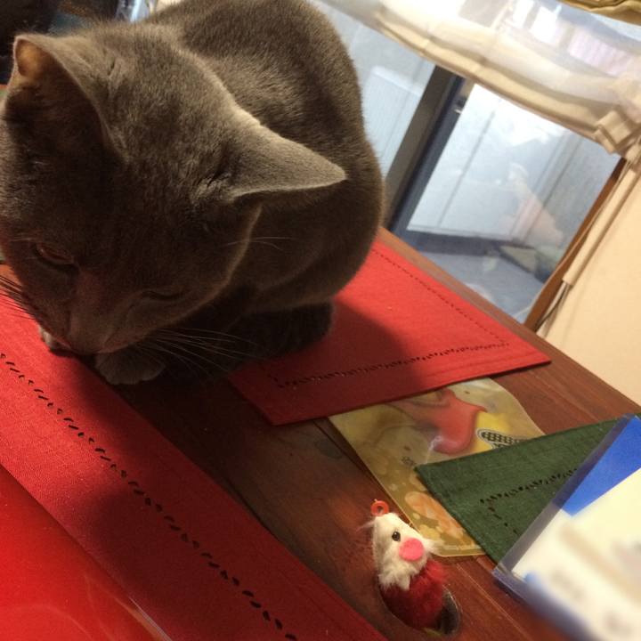 De82ab0d 4b3b 4fec 9393 35a4937b16d1