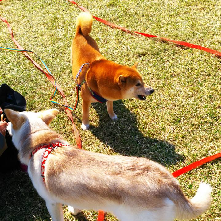 De8356f8 399b 4ca2 94cb 184959d9723e