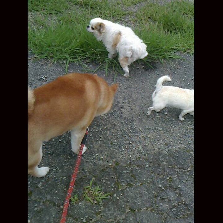 De8393c7 9051 428a 8ab0 bc5ed1e11c15