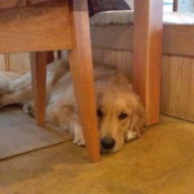 De847a5f 2017 4cfd b04f 715827029d83