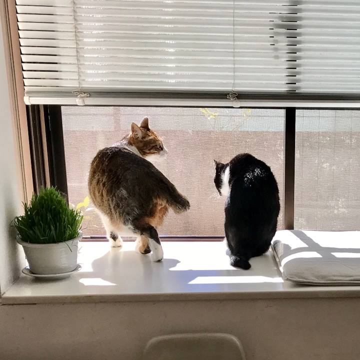 De8497a1 c0d2 40da b4e2 fce41816d603