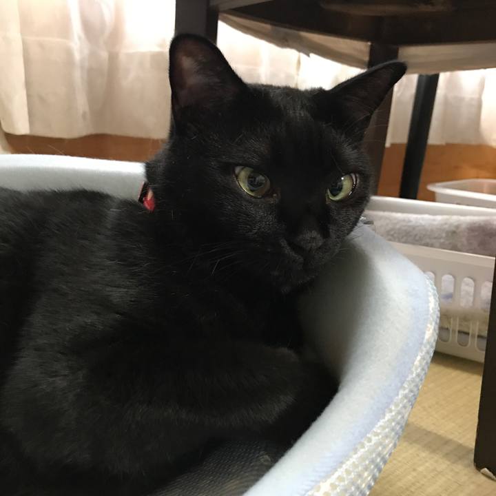 De84d8d5 38bd 45e5 bc7b 3049f9780019