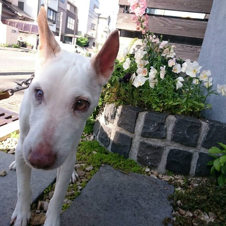 De84f53b b6b2 4fb9 94d6 9ba35c07e27f