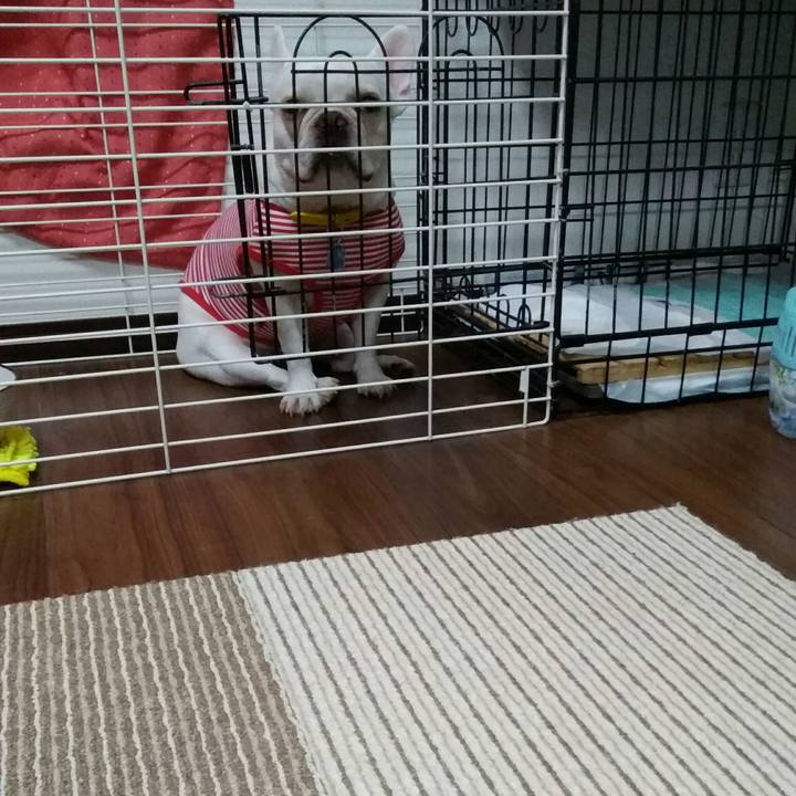 De855dae f412 45fa 999b 13ffe772977d