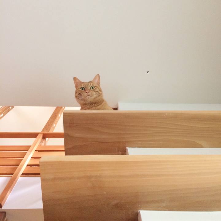 De8596ed 55f0 426b 9bc2 abbfce2b619b