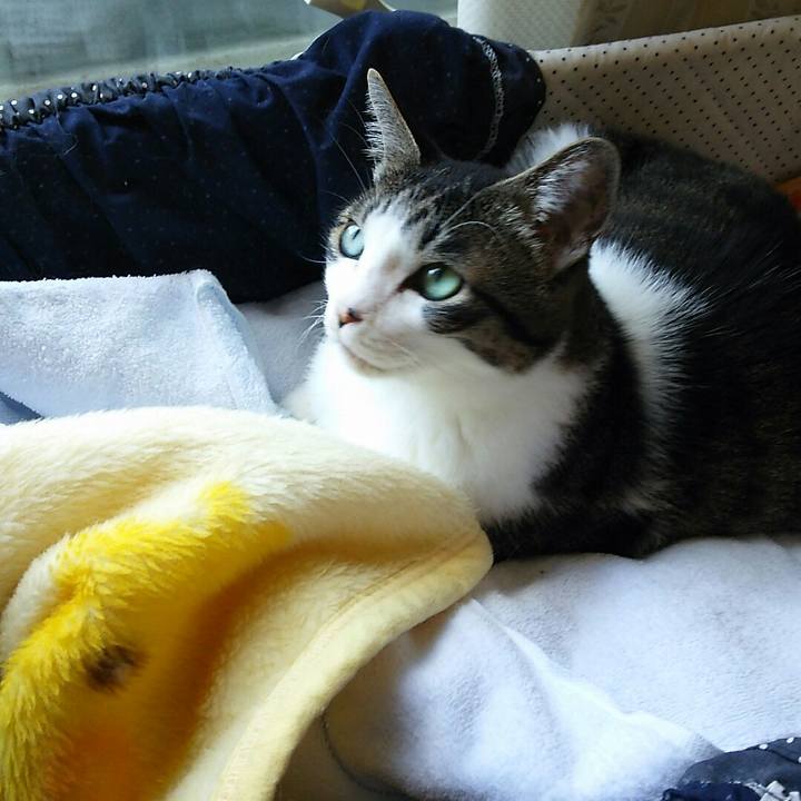 De86987d 7e10 4c72 bd2a f67d45f5e874