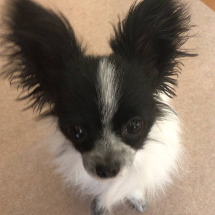 De86aacd 4928 476c 8062 a18bb71bdd95