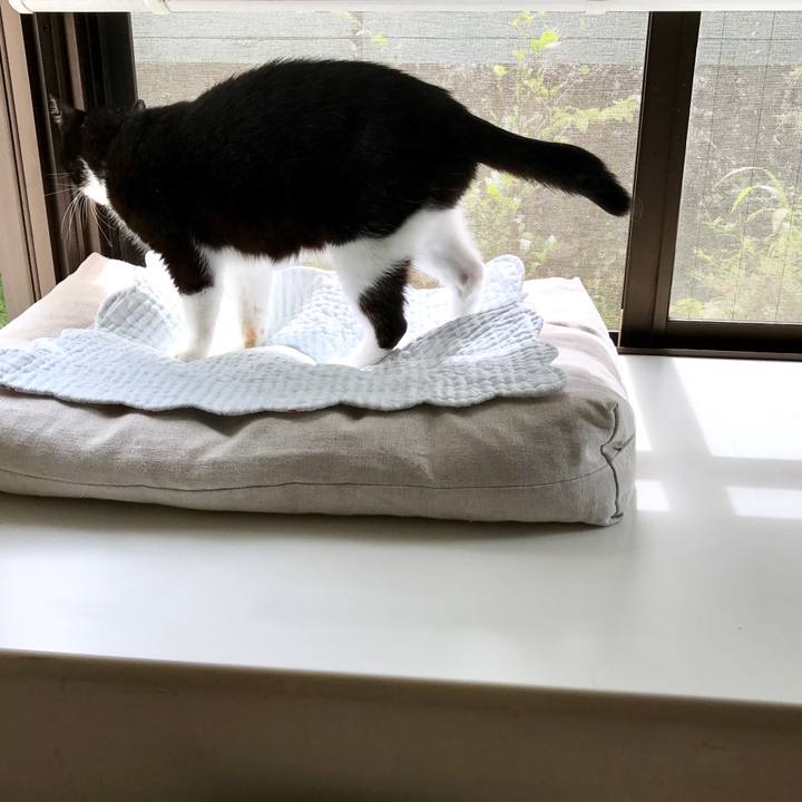 De86c840 3db0 4520 bdb5 48f8e2e74c68