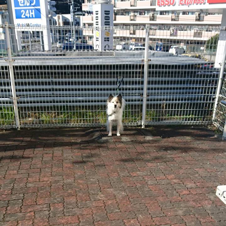 De86f7e0 44f8 46aa 923b e44b88004201