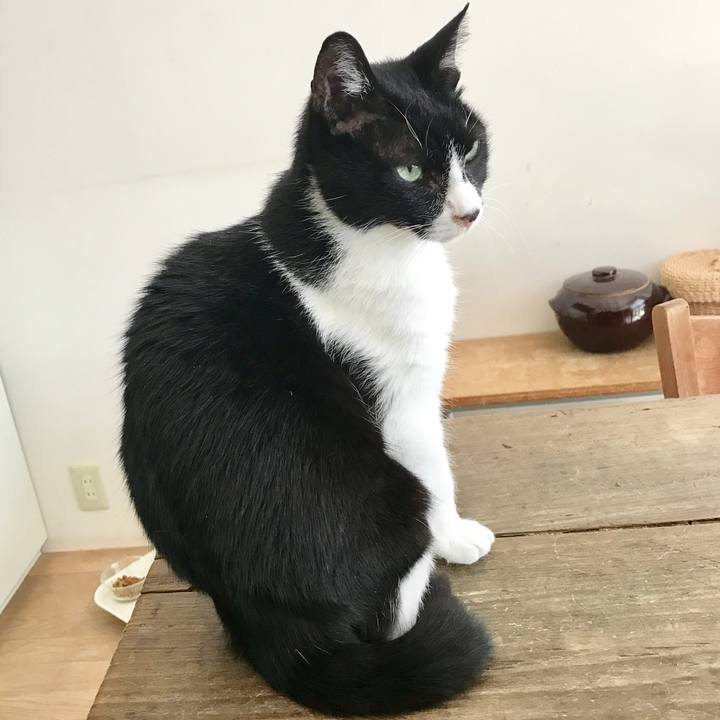 De871794 4256 4758 95c0 0649db55ee29