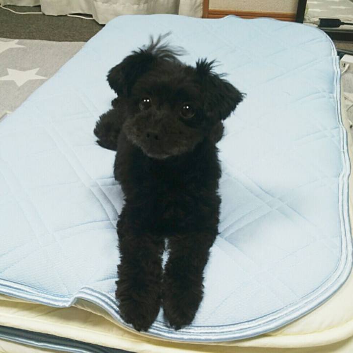 De878688 36f6 4a9d 847f add1e2cfb581