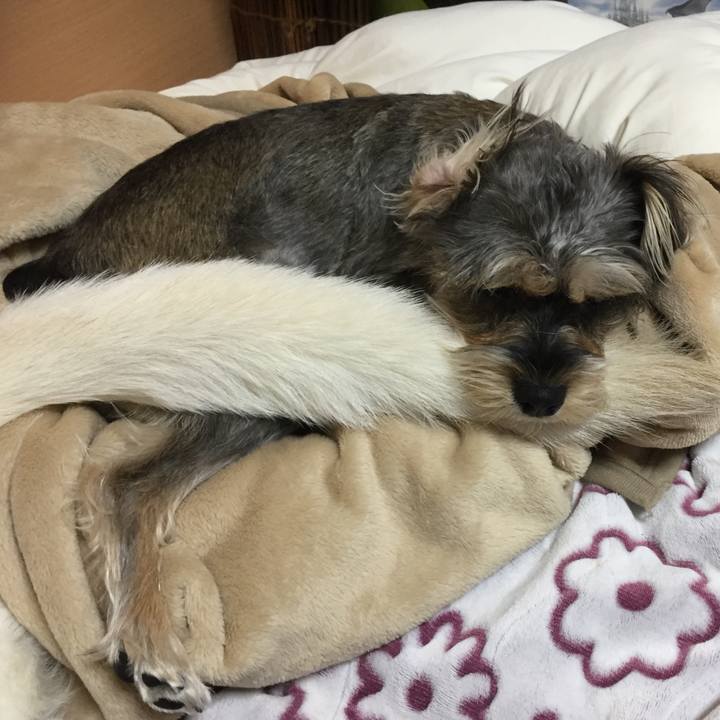 De888369 9643 457f 9d33 a908f7819b3b