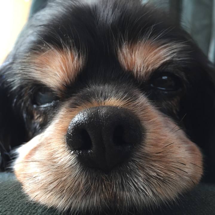 De88971c 140a 4557 9945 23adf5e22f0a