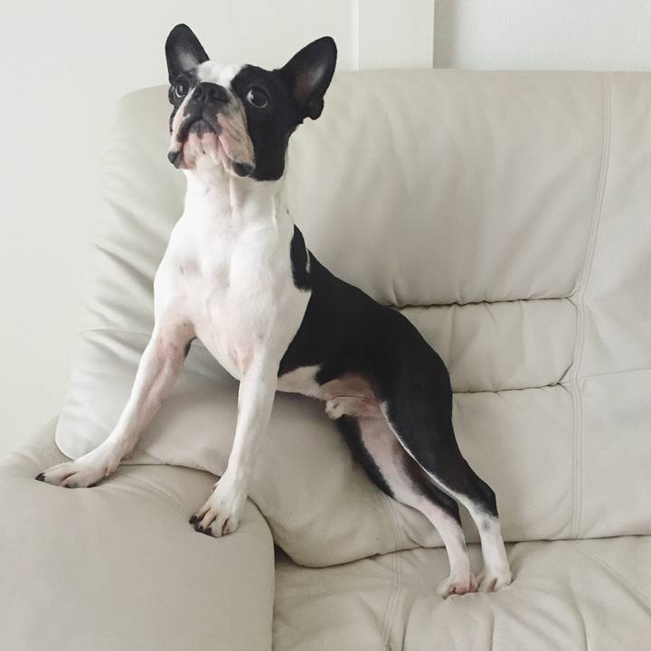 De894899 69c8 4406 b7f9 5edd8e7c0cf4