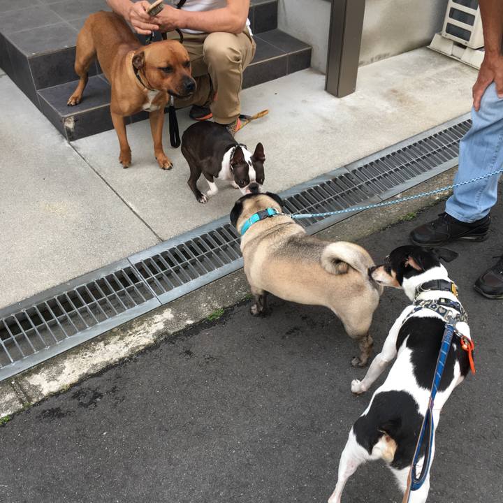 De896964 6f83 4f2e aee2 50422bb8de71