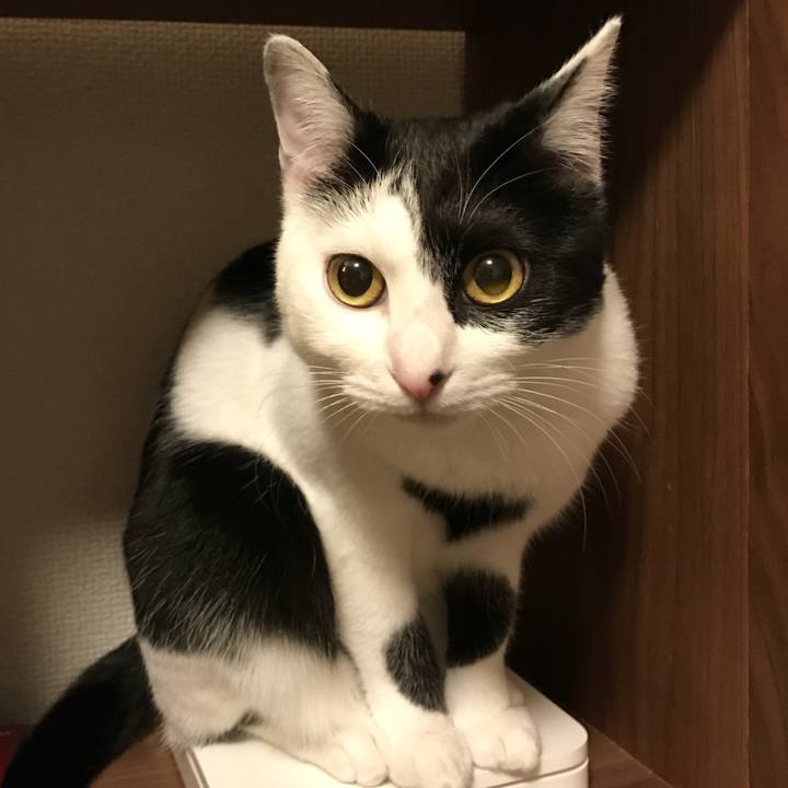 De896b4c 6e7d 432c b178 c5826d38cc9d