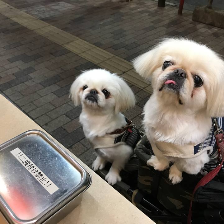 De89ee2b 3f9b 43f6 aae4 508cc1966adb