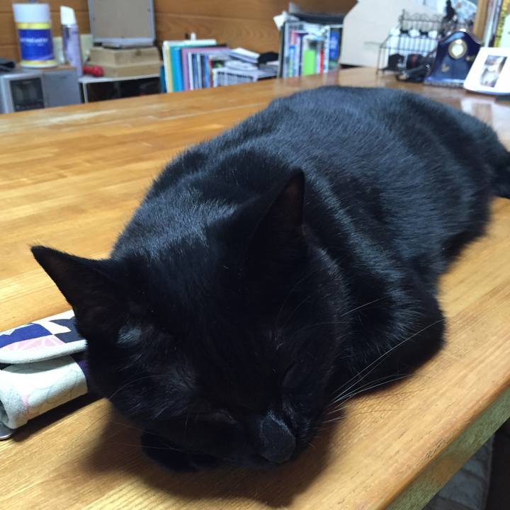 De8a1505 bbf2 4733 a394 e2bd2158aa16