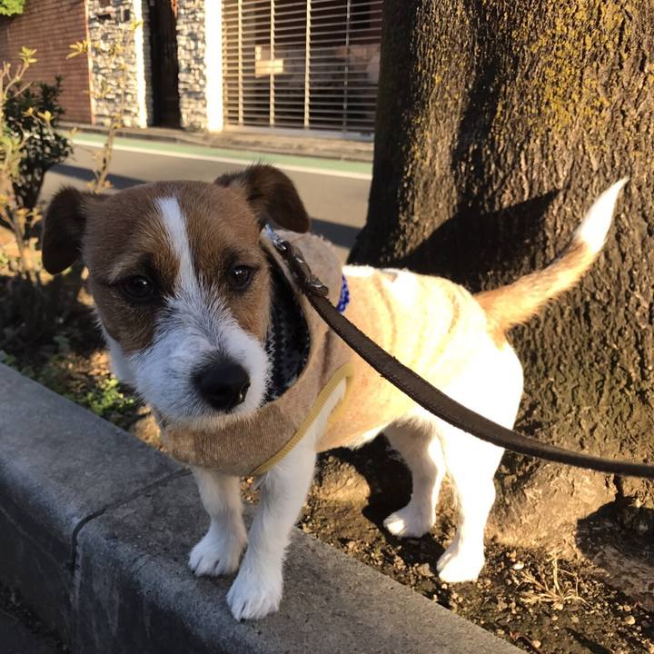 De8af80a 9d84 4cf4 95e1 38df6bc2e9b5