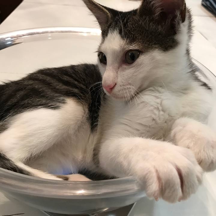 De8b9aa9 8f90 4f89 9a20 1575384b18d0