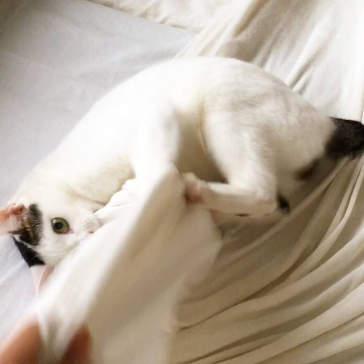 De8b9ebc e845 48f6 ad1e 5c318a81ac04