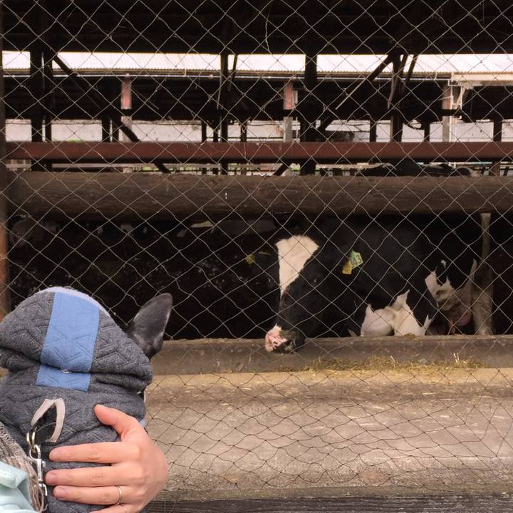 De8be4ac 3bfa 40d3 8a88 d35a7405394a