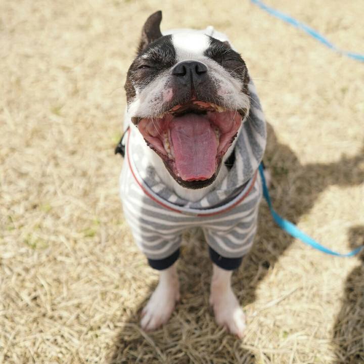 De8be4d5 8bbb 40bb 8e06 90e087a08746