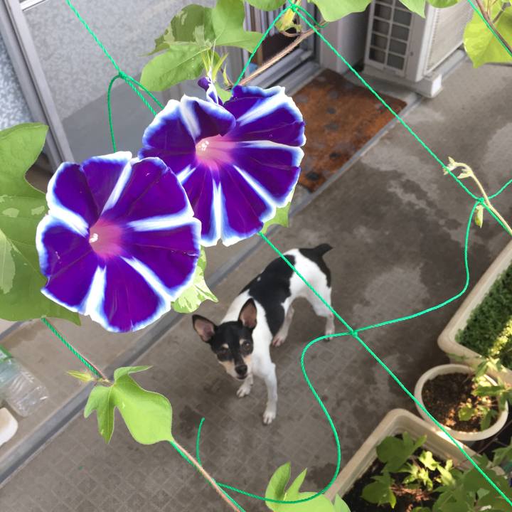 De8c0d03 1159 49d4 a516 5701af19d8b7