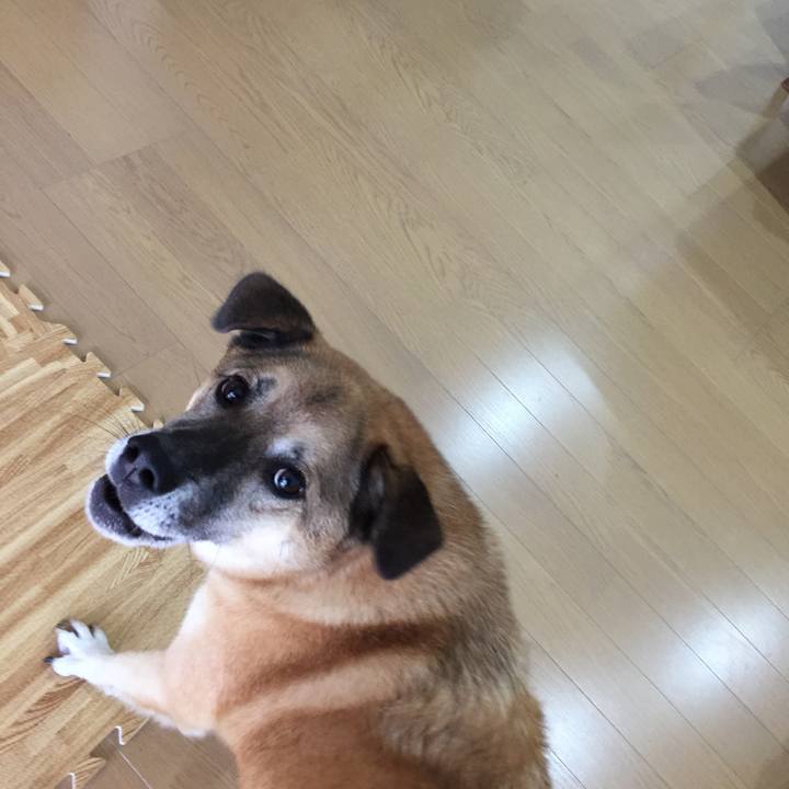 De8c2dbe 2fc8 43bc 854a ef0ef7dcc366