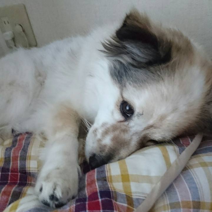 De8c5215 e9ae 4b4e 8ca7 3bd4504f49ca