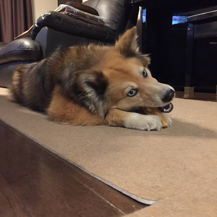 De8c9d85 5b8d 4741 9b23 a80f37e9dc16