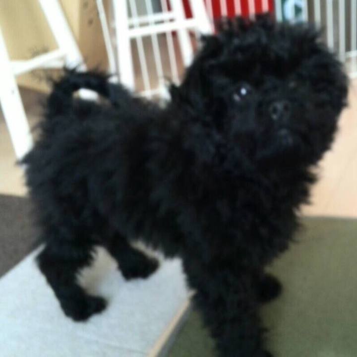 De8d0431 329d 42f2 a298 033a78963463