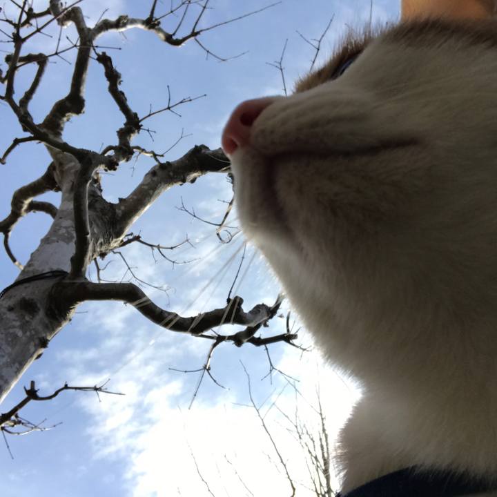 De8da70f 127a 4fb2 bb81 faa248bfc596