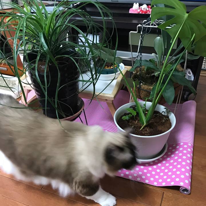 De8e07e6 53fe 409b 992d 30c26fcea6bd