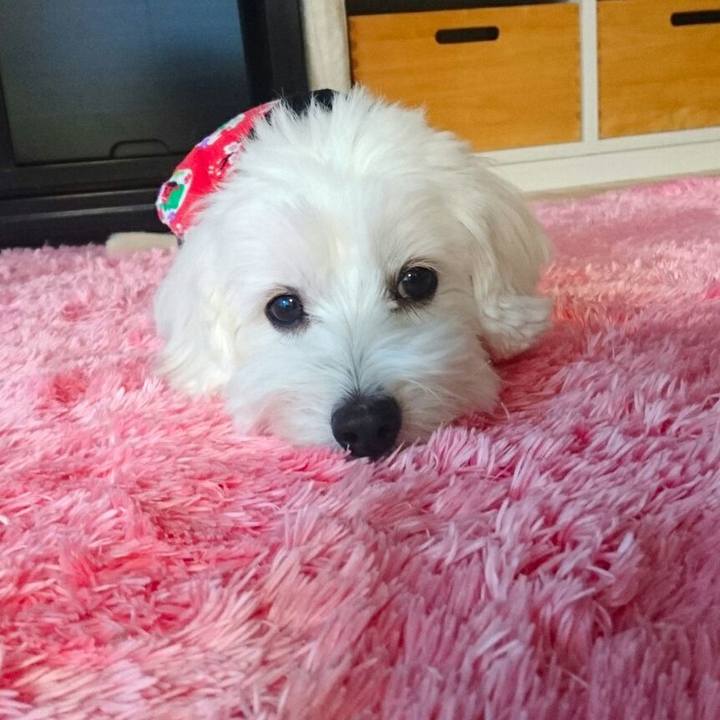 De8e840e e3d1 430f 8b9d 9a06e6c23f3c