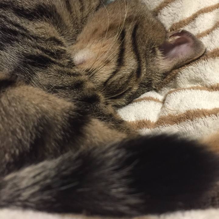 De8ecf25 3546 4538 a544 48dd5b6b858a