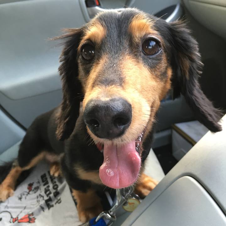 De8f7e2a b44b 4e3b be30 0f7fed1e7ad4