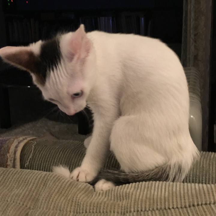 De903387 74d6 44c5 9ed7 08179ccae83b