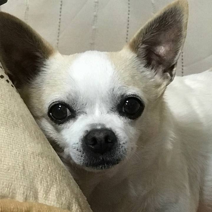 De903f21 124f 4710 b363 c9c61f5b6632