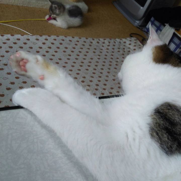 De9063d3 5a06 49d5 8378 2561bfcefd1a