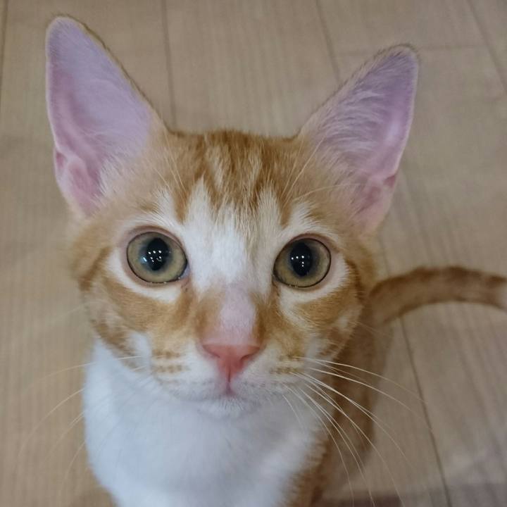 De90af44 4bf9 4b64 8c7c 3084eb6b9098