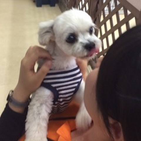 De90d530 3d96 4092 b895 e636bb0b196e